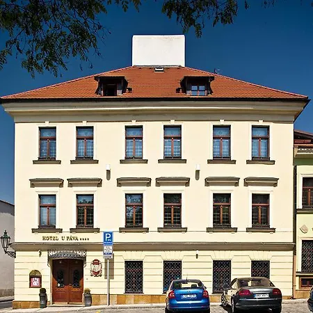Hotel U Pava Prag
