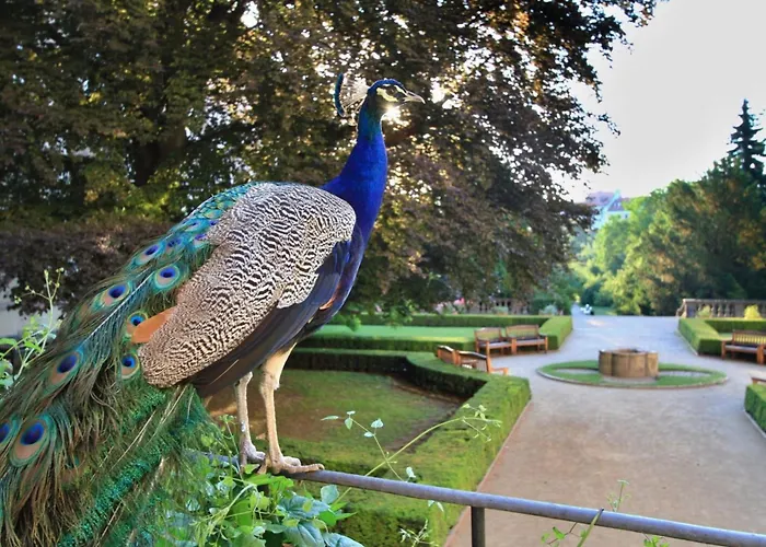 U Páva Hotel 4*