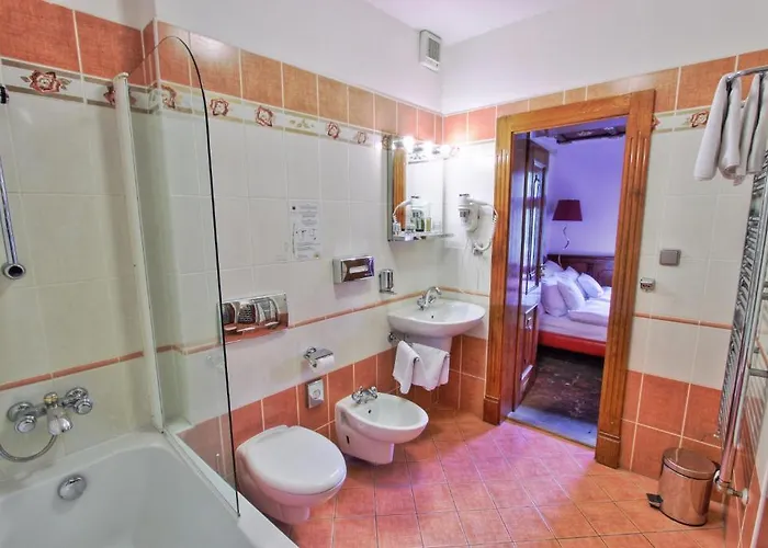 Hotell U Pava 4*