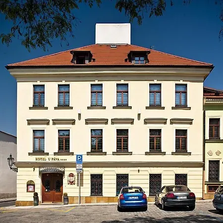 U Pava Hotel Prague