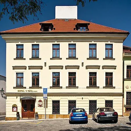 Hotel U Pava