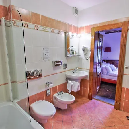 Szálloda U Pava 4*